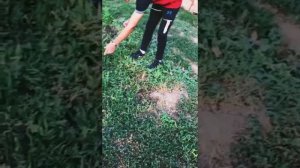 Динамики держались до последнего/ Сжёг динамики