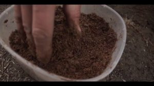 За сазаном в Астраханскую область _ Клёв будет