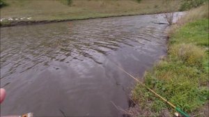 Рыбалка на  ПОПЛАВОЧНУЮ удочку в Орловской области .