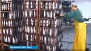 Рыбозавод, Миякинская Рыбная Компания, Рыба оптом, от производителя.