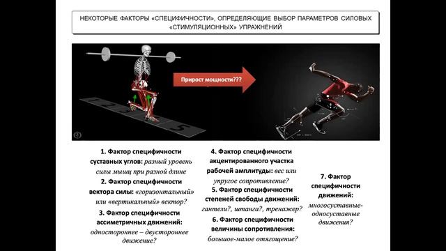 Особенности применения метода контрастных упражнений в специальной физической и технической подготовке лыжников и биатлонистов высокого класса. Часть 2