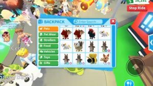 ??? КАК ПОЛУЧИТЬ МЕГА ПИТОМЦА РАИД И ФЛАЙ в Adopt Me Roblox / Что дают за неоновую черепашку ???