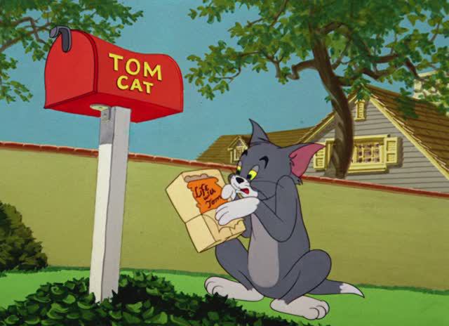 Том и Джерри – 79 серия – Жизнь с Томом / Tom and Jerry (1953 год)