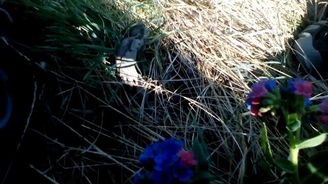 Христианские стихи с очень глубоким смыслом.