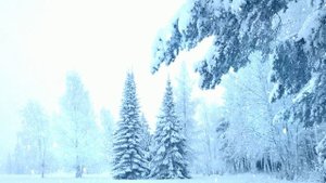 Футаж. Зимний пейзаж 56