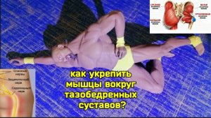 Деградируют тазобедренные суставы, колени и стопы? Восстановите баланс между  мышцами ног