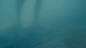 Жила в белорусском полесье, кудесница леса Алеся