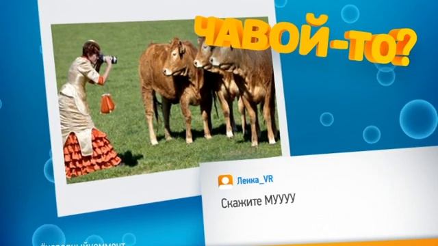 Чавой то  Фотограф смотреть онлайн