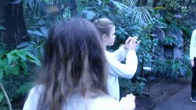 Бабочки Киев 16.2.2019.469 смотреть онлайн