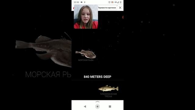 The Deap Sea.Спукаемся на дно океана