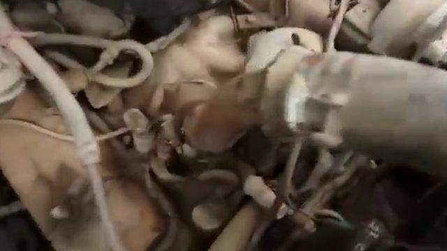 Заводим ГАЗ 53 после 15 лет простоя. смотреть онлайн