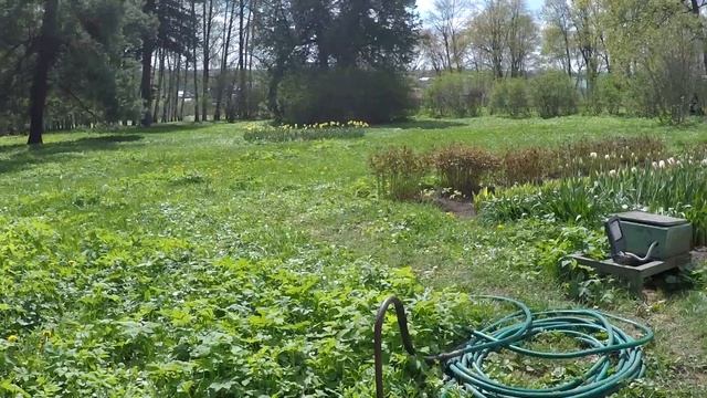 Занятие 11 - Поездка в лес на автомобиле смотреть онлайн