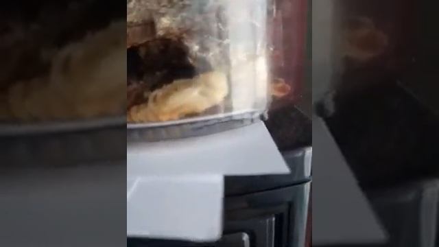 короед растет смотреть онлайн