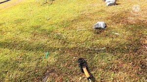 Quest scuba tector pro