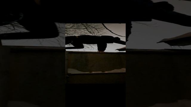 Прикольное приключения