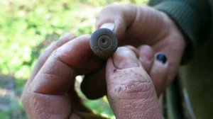 Коп в лесу.Александр(реставратор).№206 /1