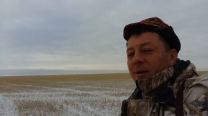 Охота на гуся в Казахстане,Аркалык