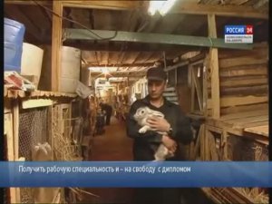 Получить рабочую специальность и - на свободу с дипломом