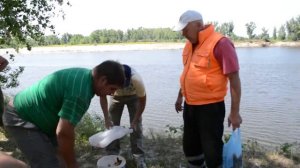 Рыбалка Волгоградская обл Маляевка 10.07.13 Fishing Volgograd region Malyaevka