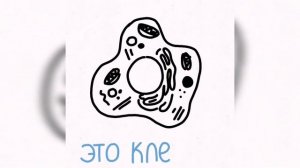 ГЕНЕТИКА С НУЛЯ ? [1 ЧАСТЬ] гены, хромосомы, днк, белки - гистоны