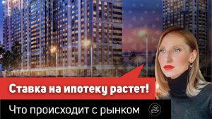 Инвестиции в недвижимость в 2023 году / Новостройки СПб