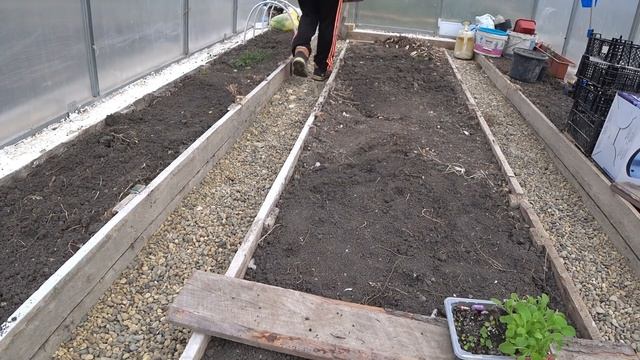 Когда все дома. Готовим вкусняшки. Рассаживаю цветы смотреть онлайн