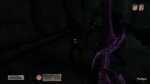 Куча секретов The elder scrolls IV Oblivion