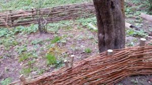 Плетеный забор