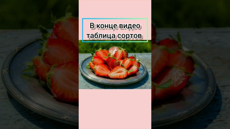 Урок 10. Сорта КСД или НСД? Что лучше? Что выбрать?