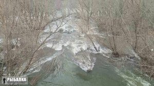 Половодье 2023. Река Проня