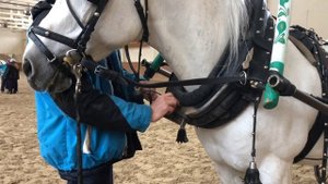 Русская экипажная езда и русская тройка, выпуск 2