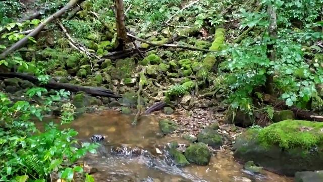 Каньон реки Рагуша. Река исчезает и снова появляется.