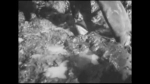 Мой дед Николай Иванович Асанкин.