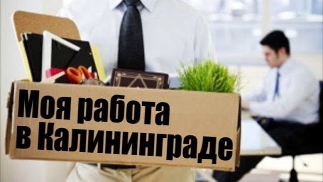 Вакансии калининград. Работа в Калининграде. Поиск работы Калининград. Калининград работа вакансии. Ищу работу в Калининграде.