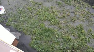 Пенза. Ул. Долгорукова. Новостройки. КАНАЛИЗАЦИЯ)))