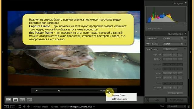 Работа в Lightroom. Редактирование видео: цветокоррекция, обрезка видео, создание скриншотов
