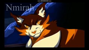 Коты-воители | ~Кленовница~ |