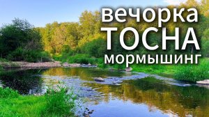 #61 ТОСНА | ОКУНЬ, ЩУКА вечерний #мормышинг #nanojig