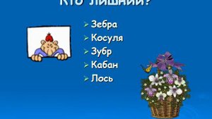 Презентация Отряды класса Млекопитающих