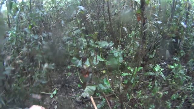 Река Зелим, Гафурийский район, прогулка со спиннингом. смотреть онлайн