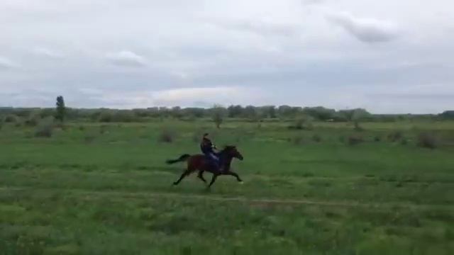 Дагестан "ИНОХОДЕЦ 1" смотреть онлайн