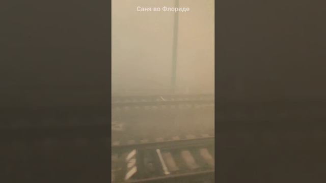 Oгромные лесные пожары бушуют сейчас в северной части Донецкой и юго-восточной части Харьковской обл