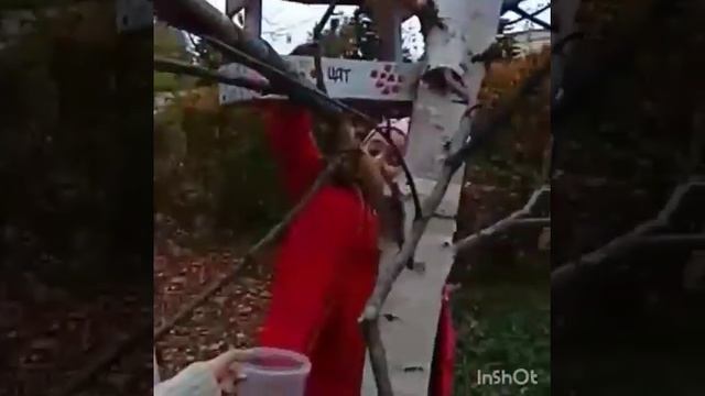 Синичкин день смотреть онлайн