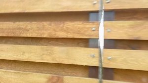 Масленица 🥞