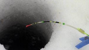 В ГЛУХОЗИМЬЕ ЭТА ПРИКОРМКА ДЕЛАЕТ РЕЗУЛЬТАТ! Ловля  на КОРОМЫСЛО .ЗИМНЯЯ РЫБАЛКА 2022.