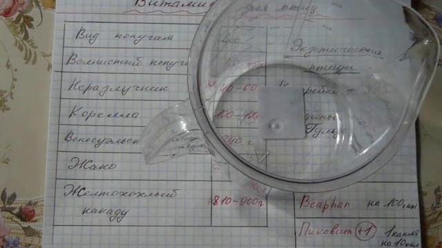 Витамины для попугаев и экзотических птиц. Когда, как и зачем нужно давать витамины птицам. смотреть онлайн