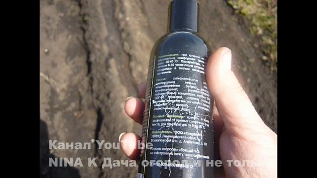 Тонкости Посадки Моркови. Сажаете Морковь Добавьте ЭТО? МОРКОВЬ Посадка Выращивание и Уход. Видео