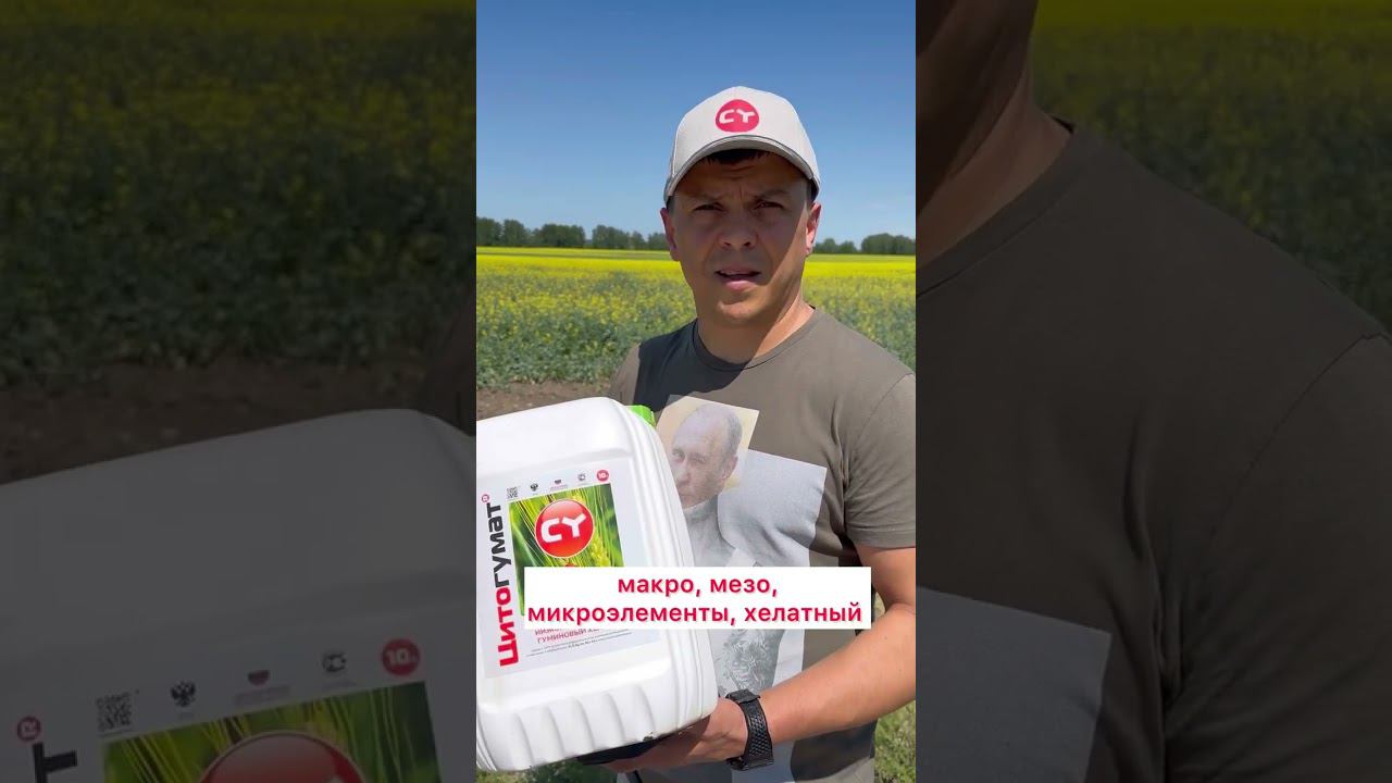 Как повысить урожайность рапса #минеральныеудобрения #органическоеудобрение #рапс #удобрения