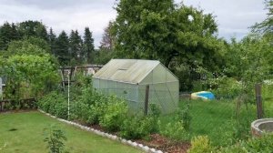 Дача как хобби. Ворон застрял в заборе.