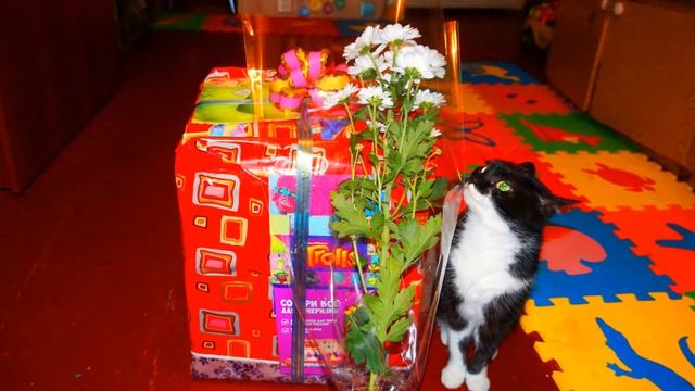 Неожиданный подарок для милых девочек. смотреть онлайн